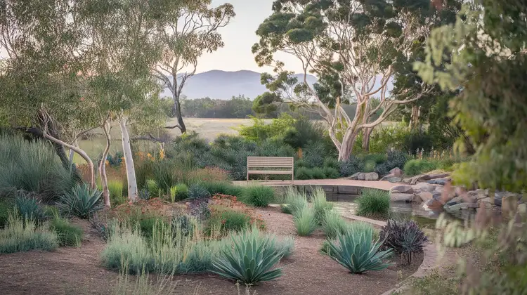 Australian Native Garden Designs