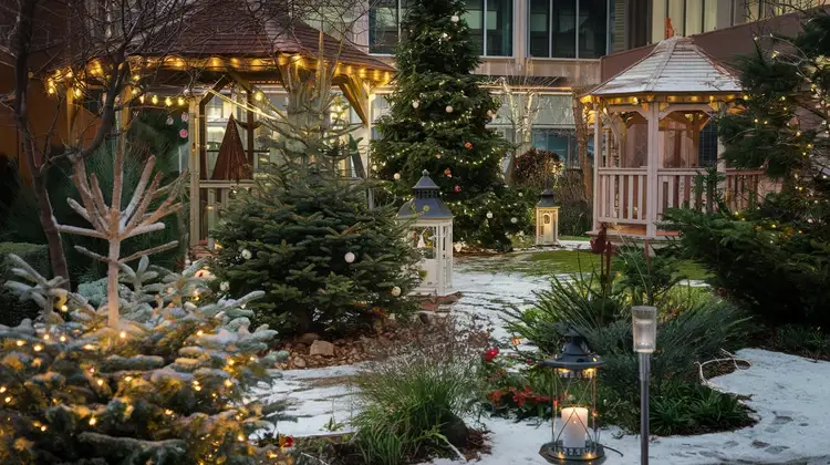 Christmas Garden Design